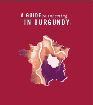 A guide to investing in Burgundy